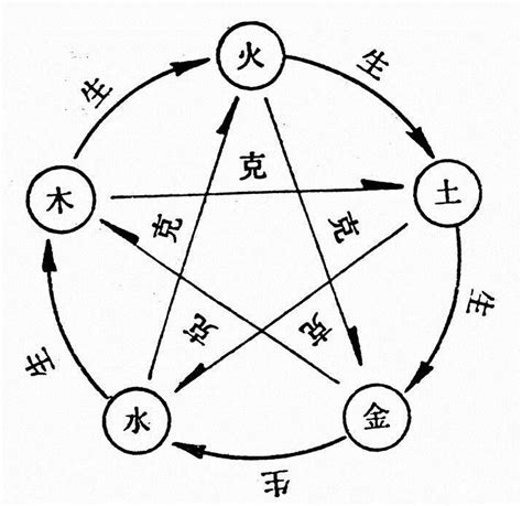 作物 相生相剋表|植物相生相克趣谈（上）